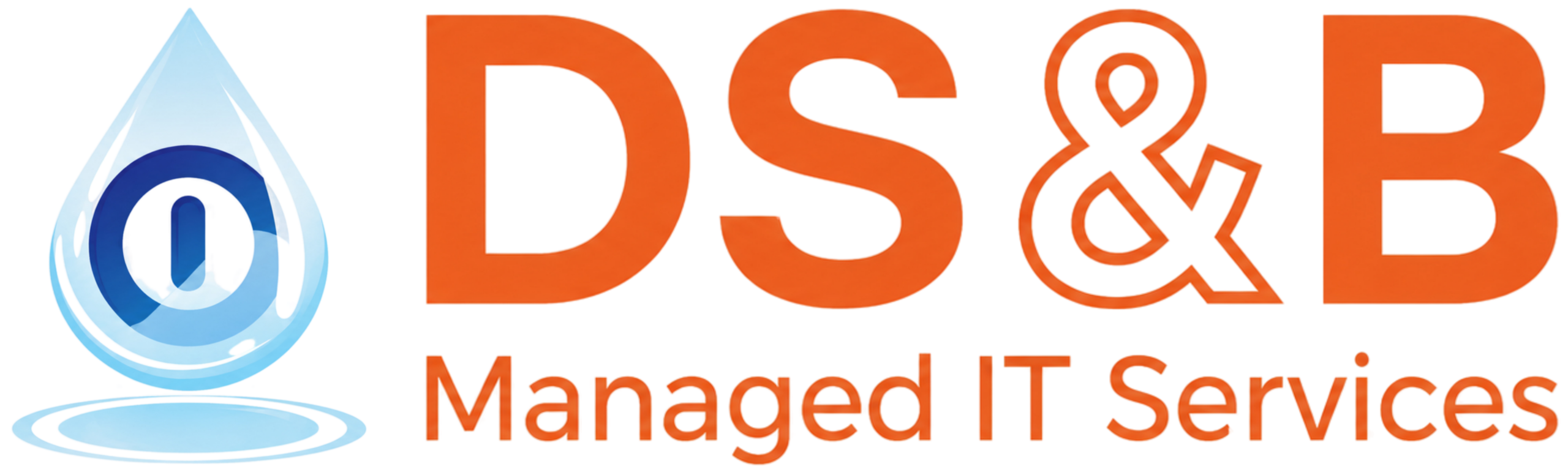 DS&B Managed IT Services